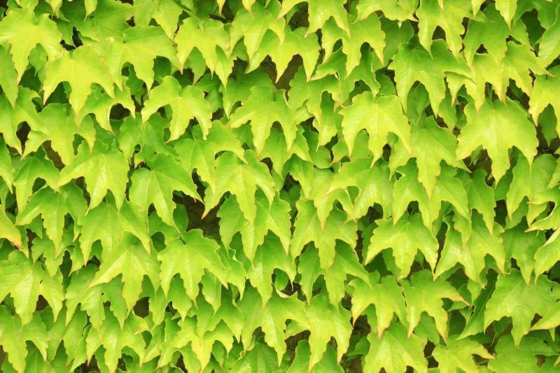 Reflections on repeat 🔂