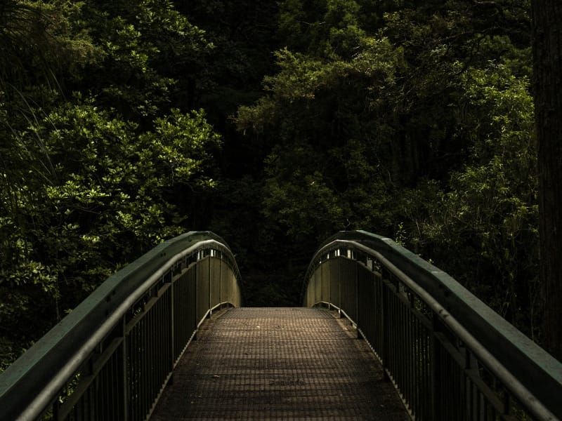 Learning and Exploring