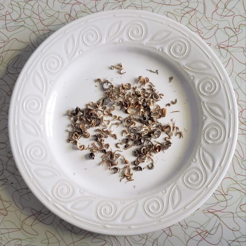 Planting seeds in the darkness