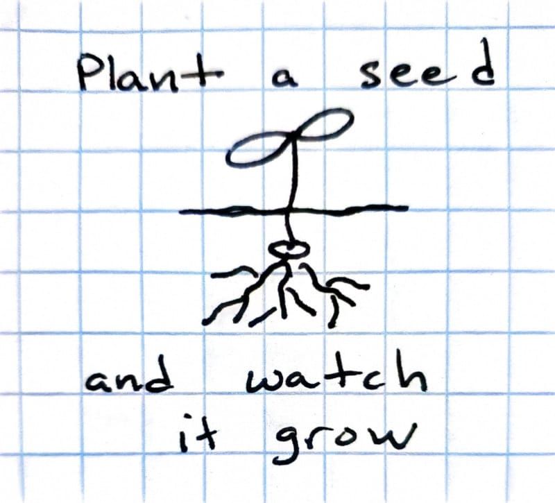 plant a seed and watch it grow