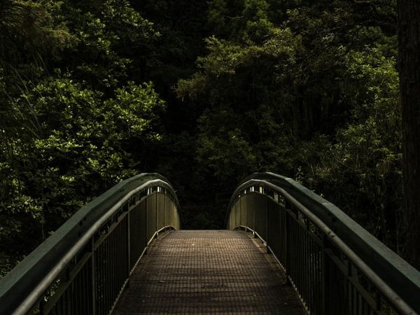 Learning and Exploring