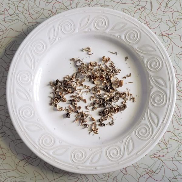 Planting seeds in the darkness