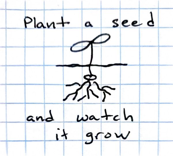 plant a seed and watch it grow