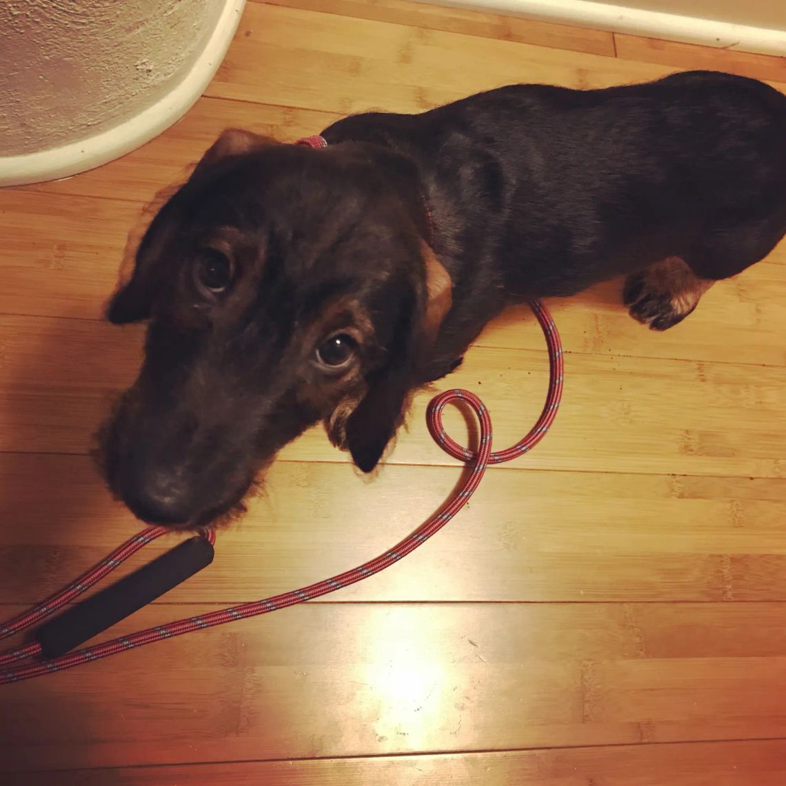Going for a walk
