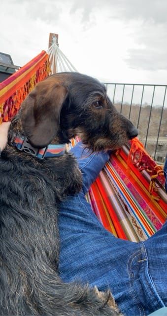 Hammock Time