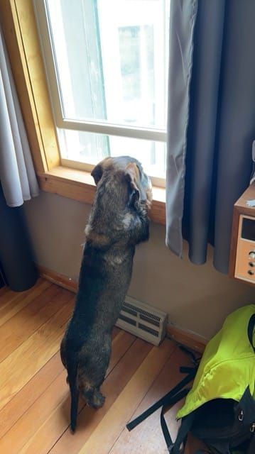 Who's there?!