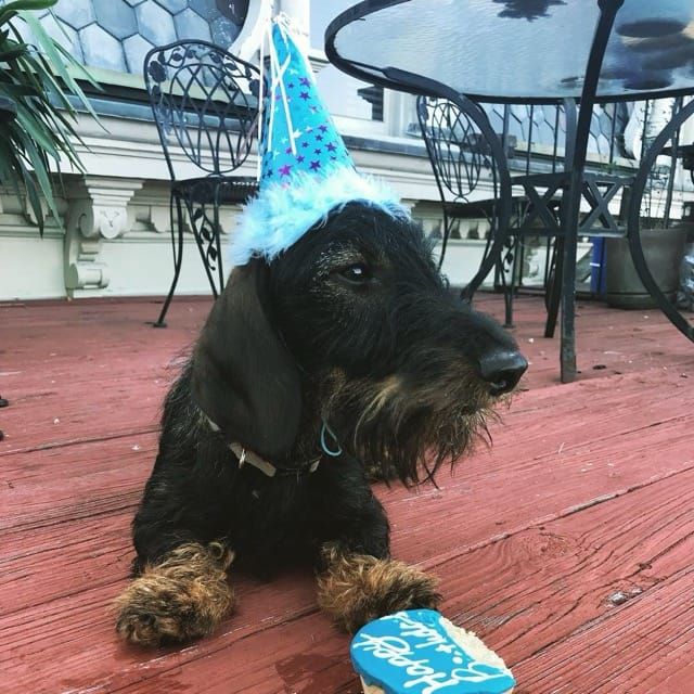 Happy Birthday!