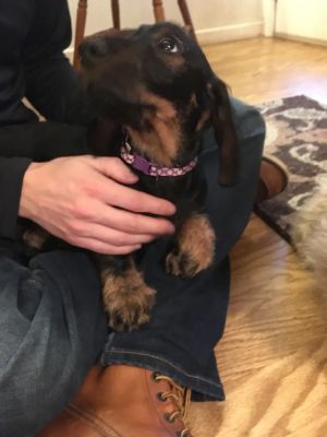 First time meeting