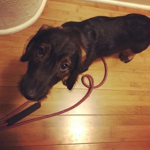 Going for a walk