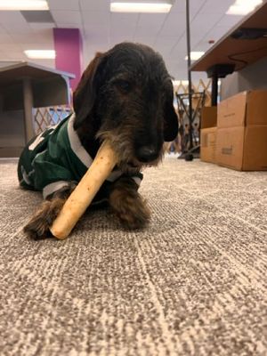 Have some work to do