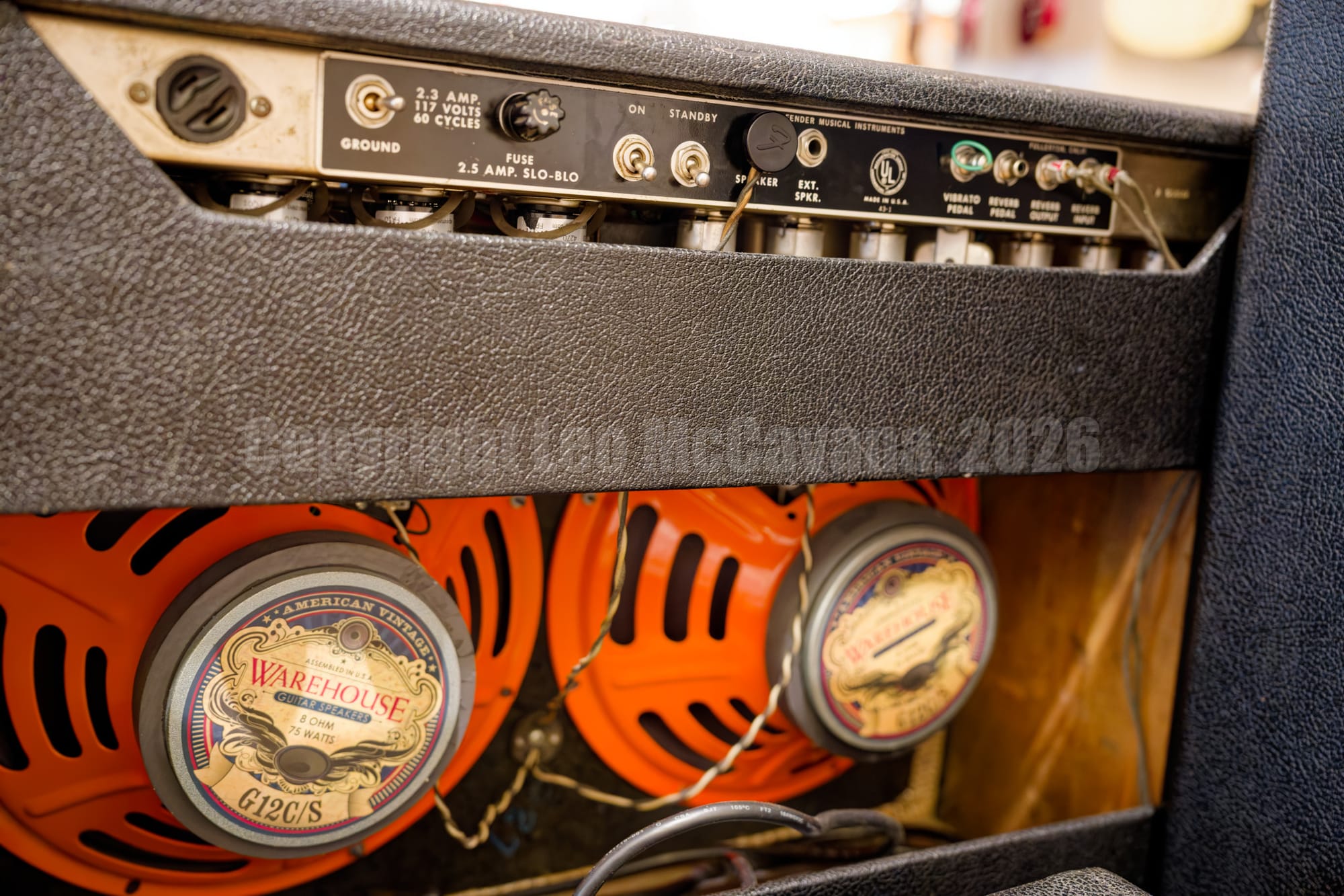 Warehouse amps at Chicago Music Exchange