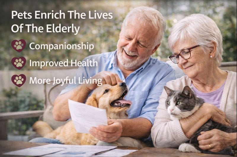 How Pets Improve Well‑Being for Older Adults