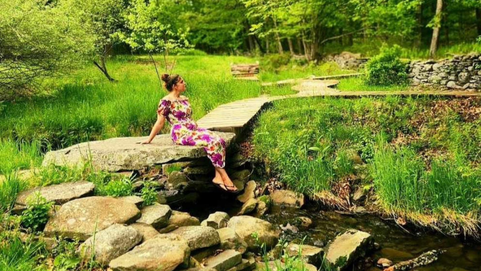 Redefining Success: When the Seeds Became a Garden