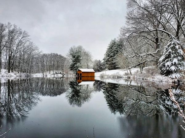 What the Reflection Reveals