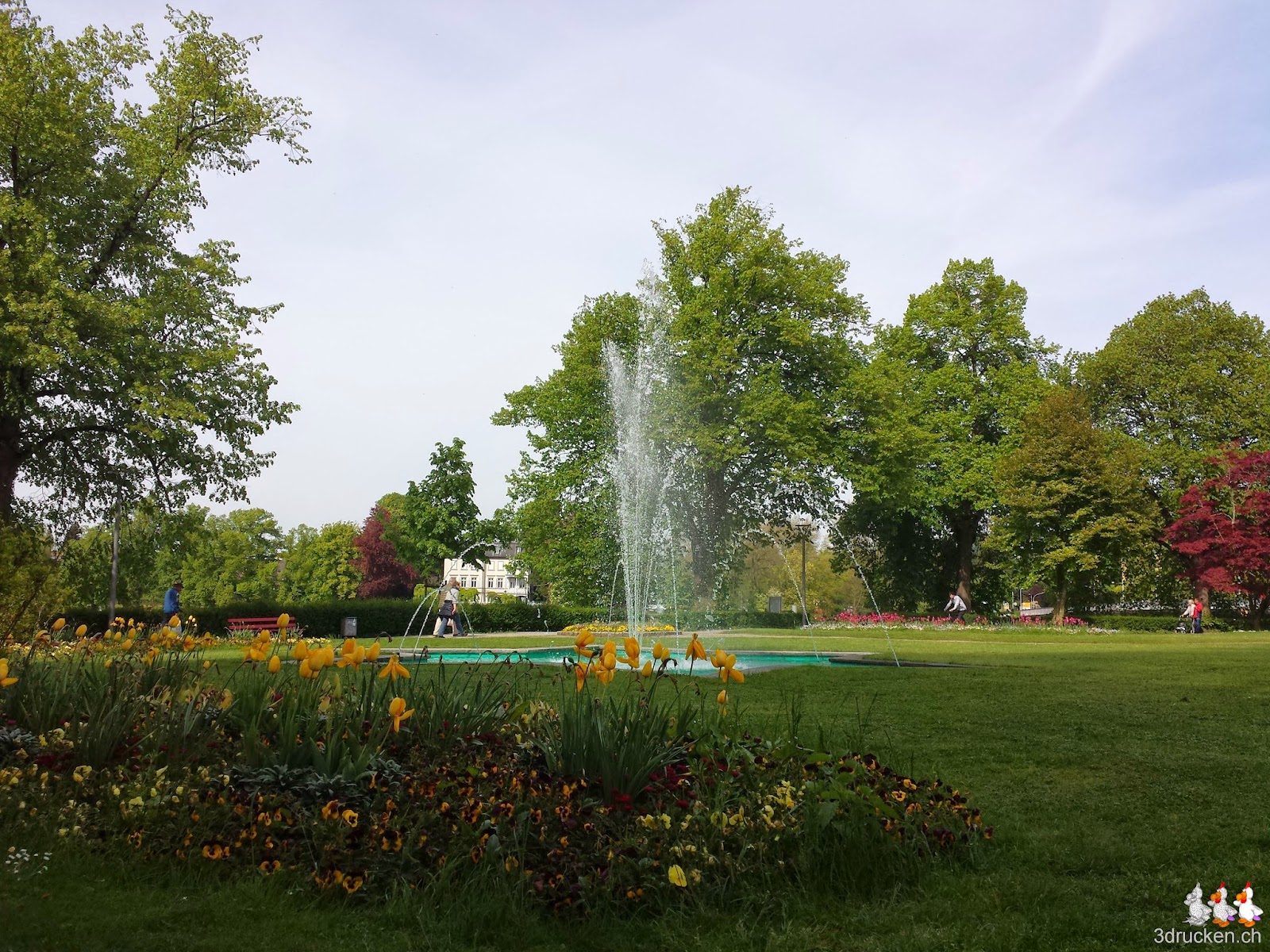 Foto eines Springbrunnens in einer der Grünanlagen von Lindau