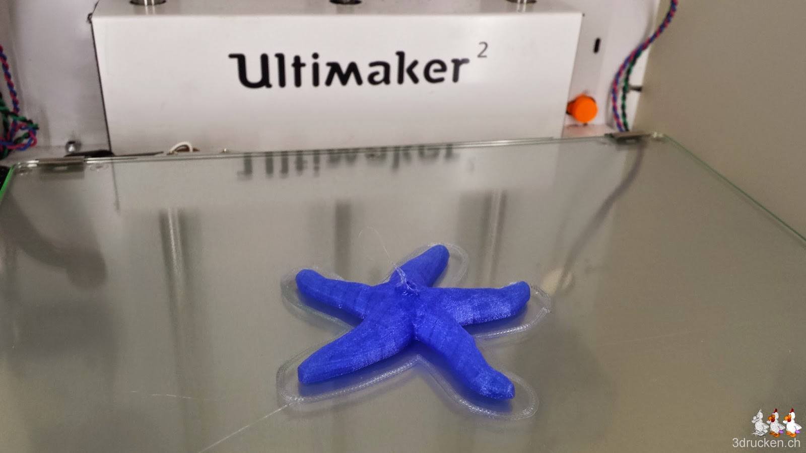 Foto des mit der neu montierten Düse des Ultimaker Original erfolgreich fertig gedruckten Seesterns aus blau durchscheinendem PLA auf dem Ultimaker 2