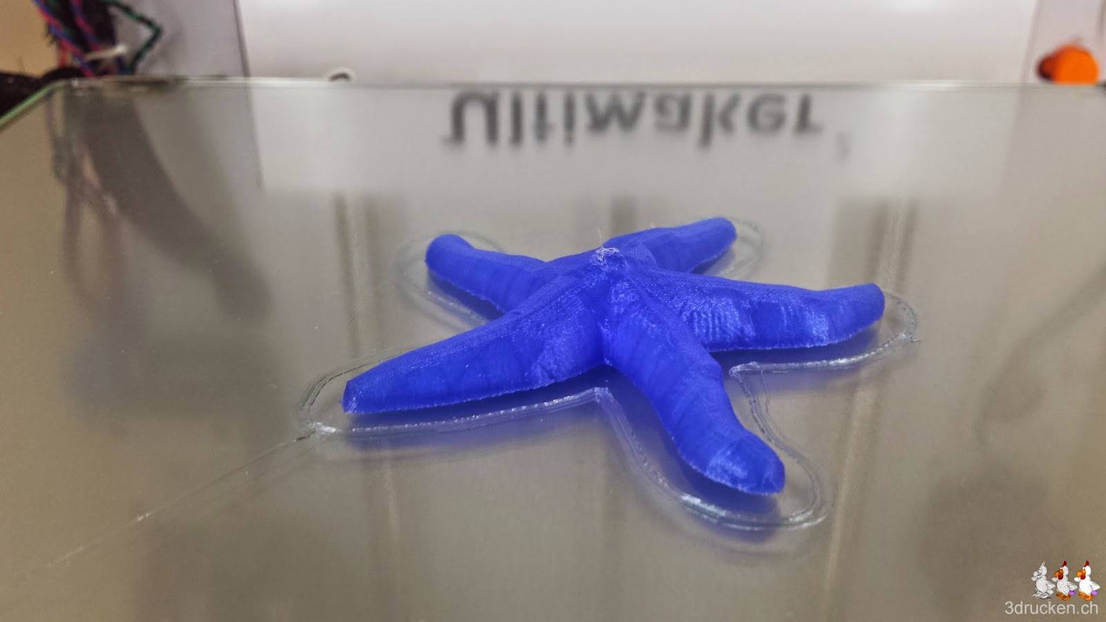 Foto des mit dem reparierten Ultimaker 2 gedruckten Seesterns auf dem Drucktisch des Ultimaker 2