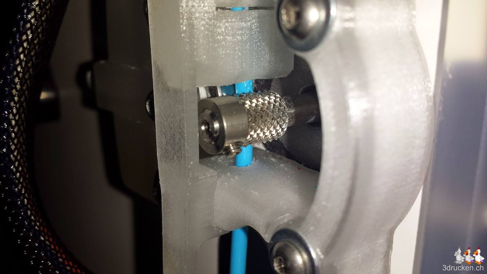 Foto des Feeders in der Nahaufnahme