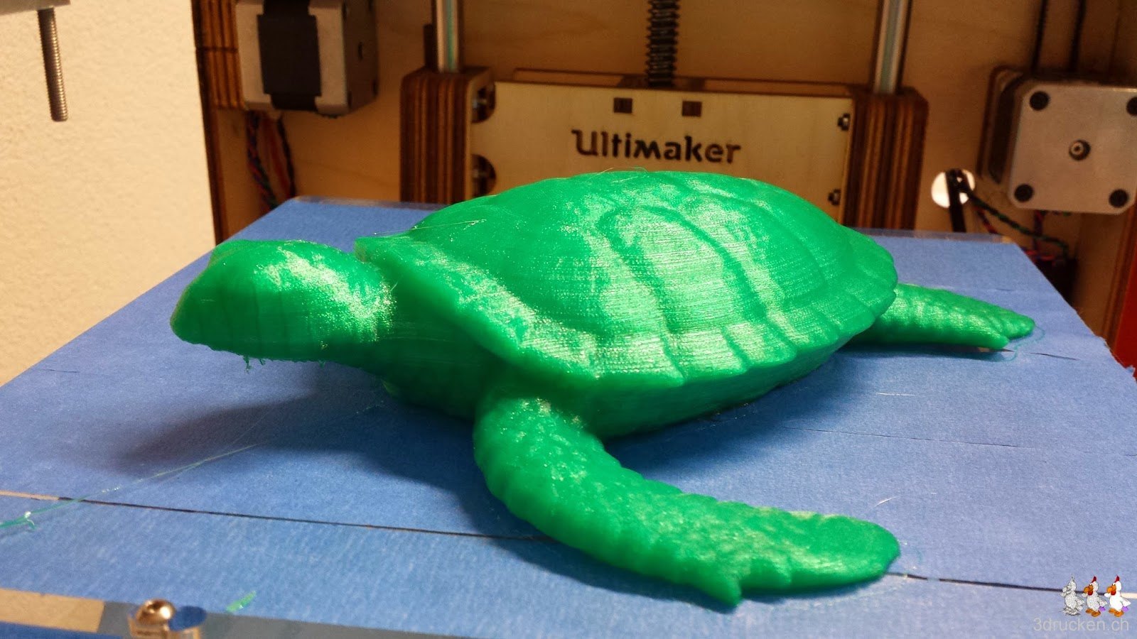 Foto von der erfolgreich gedruckten Schildkröte auf dem Ultimaker Original von vorne aufgenommen