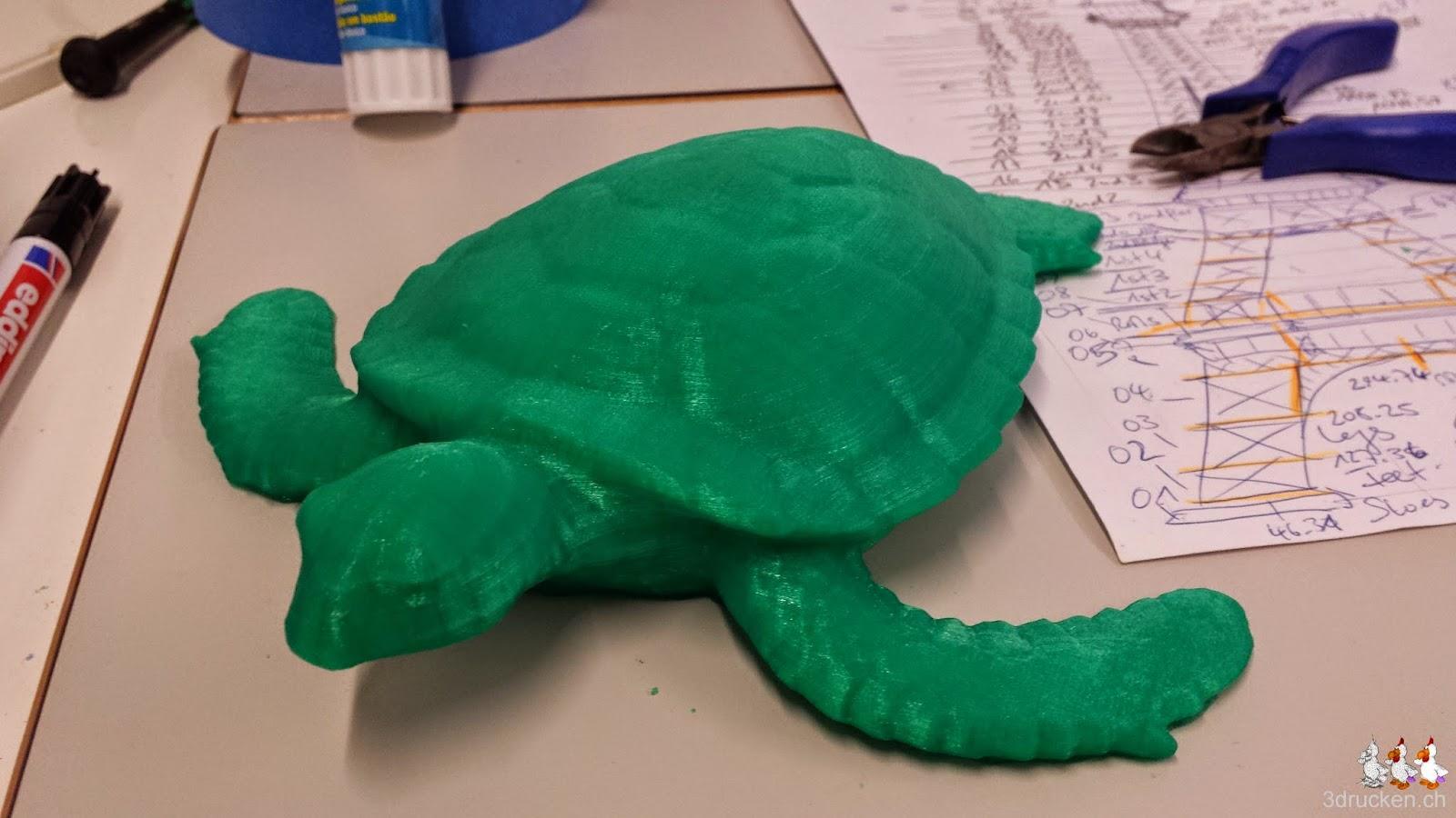 Foto von der Schildkröte die wir ohne Verletzung vom Drucktisch lösen konnten