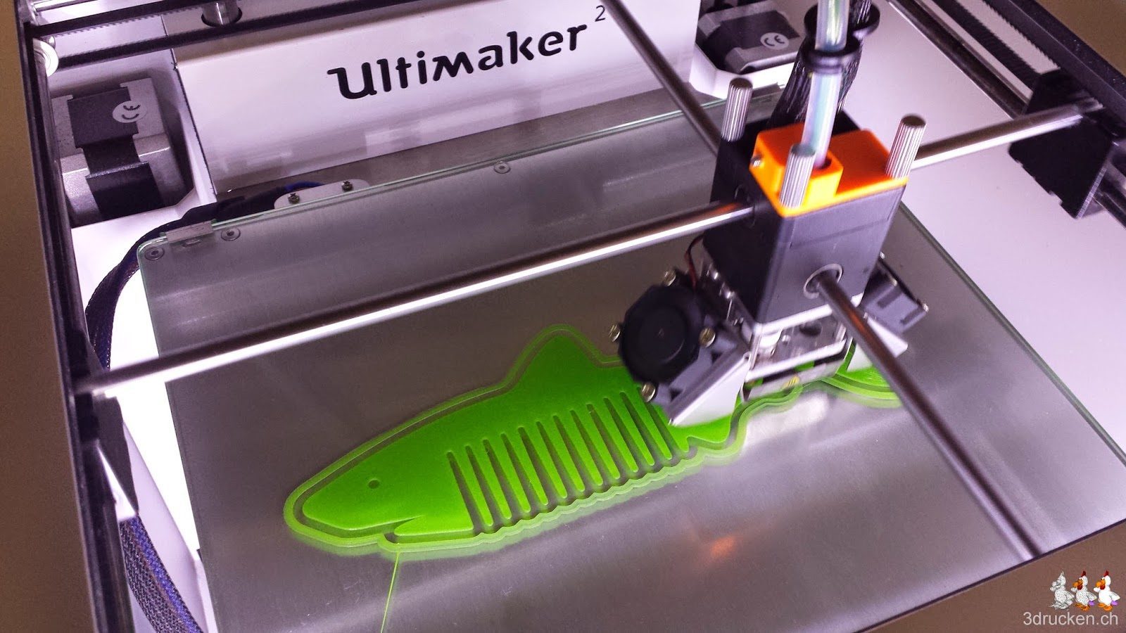 Foto während des Drucks des Hai-Kamms für Alain von oben