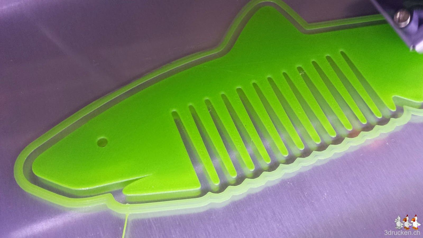 Foto der Spitze des Hai-Kamms für Alain in der Detailaufnahme