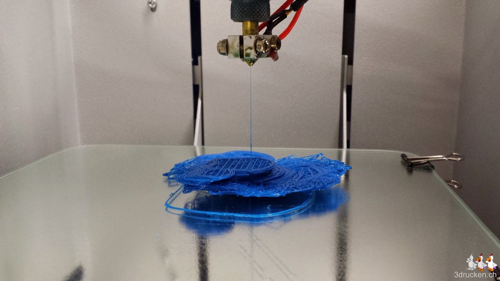 Foto des ersten misslungenen Druckversuchs der Katzen auf dem NEO