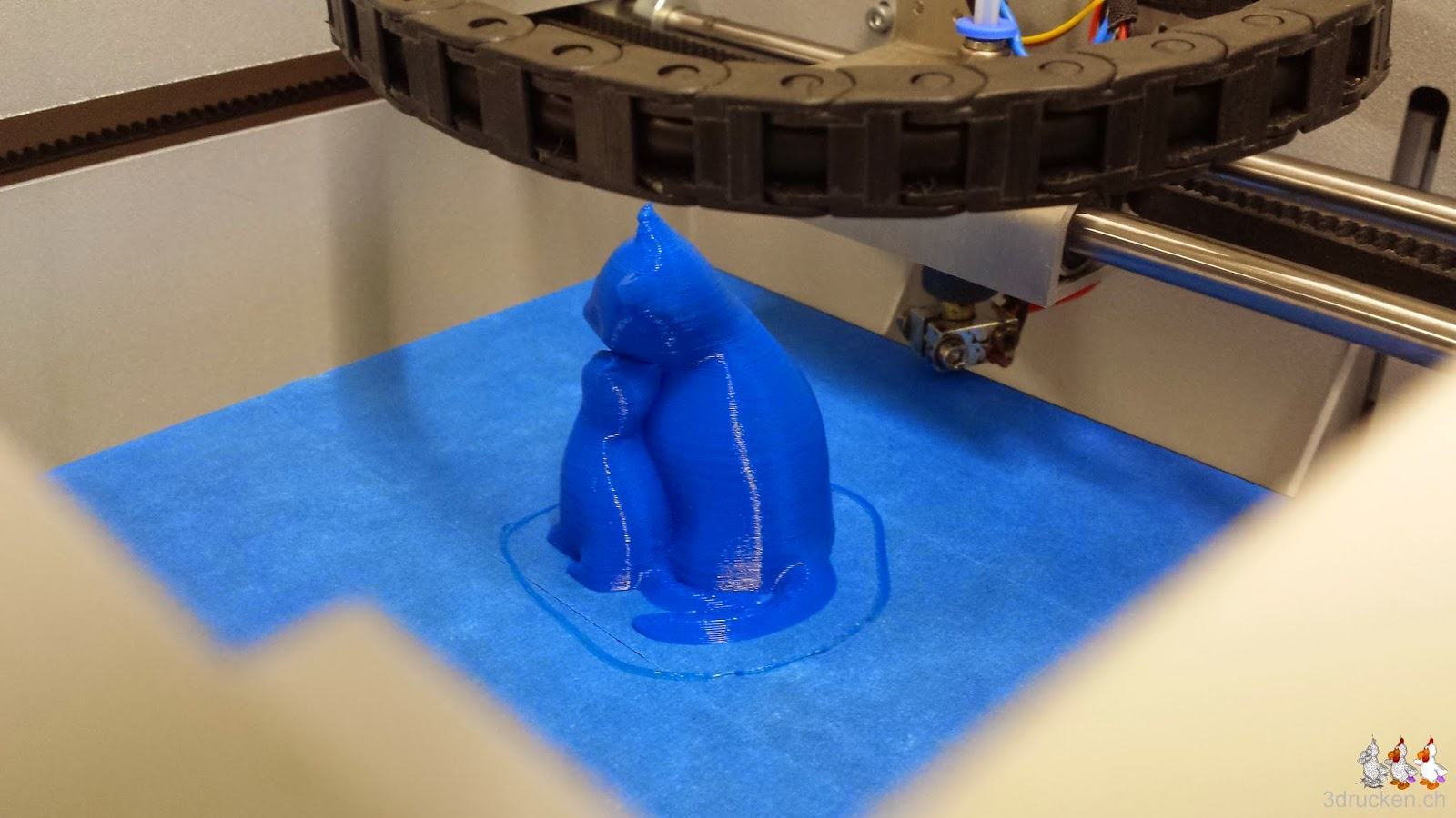 Foto des dritten und erfolgreichen Druckversuchs der Katzen auf dem NEO