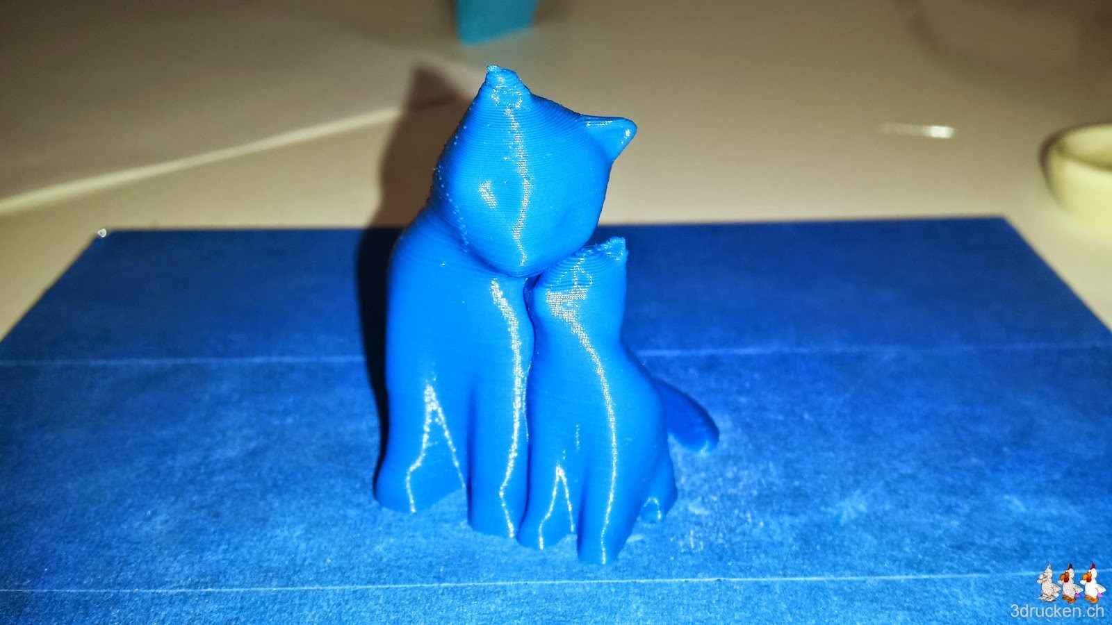 Foto der beiden Katzen auf dem Drucktisch des NEO