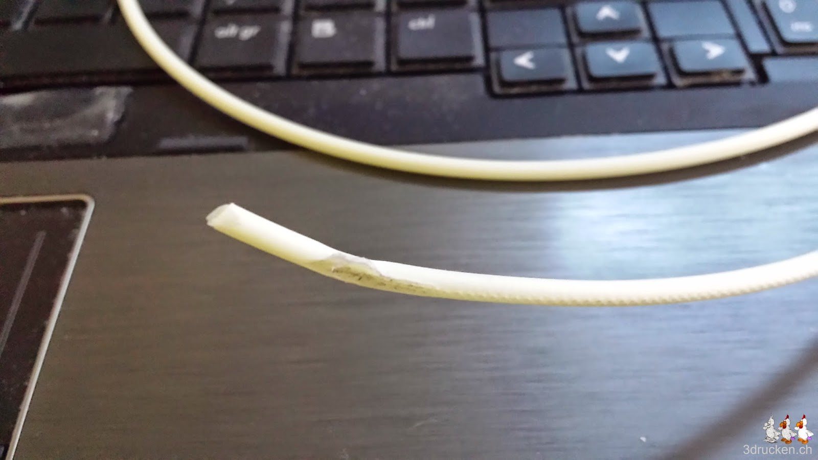 Foto des gequetschten und zerfressenen Filaments