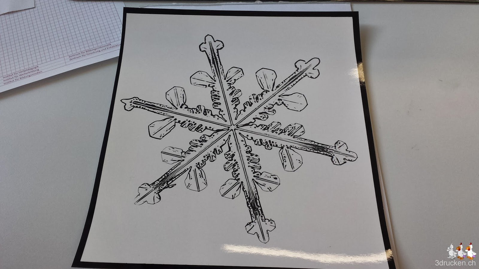 Foto des Dendritischen Sterns