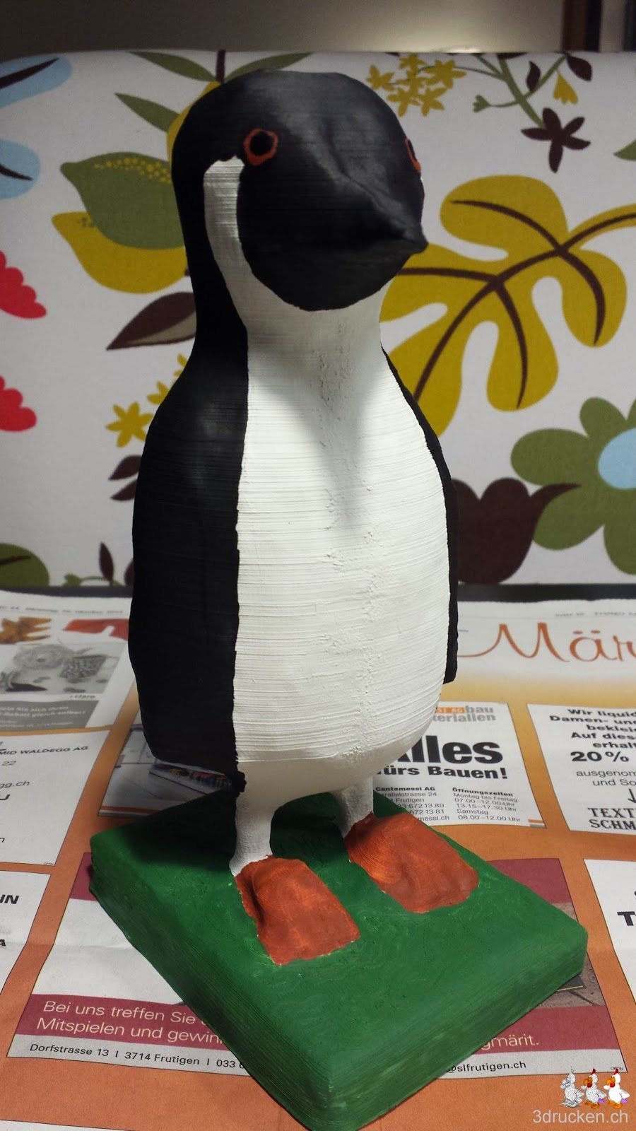 Foto des Pinguins mit schwarz aufgemaltem Augeninneren