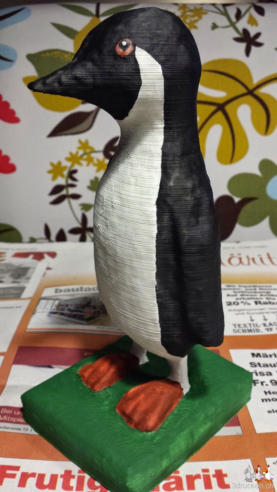 Foto des Pinguins mit weissem Glanzpunkt im am Auge