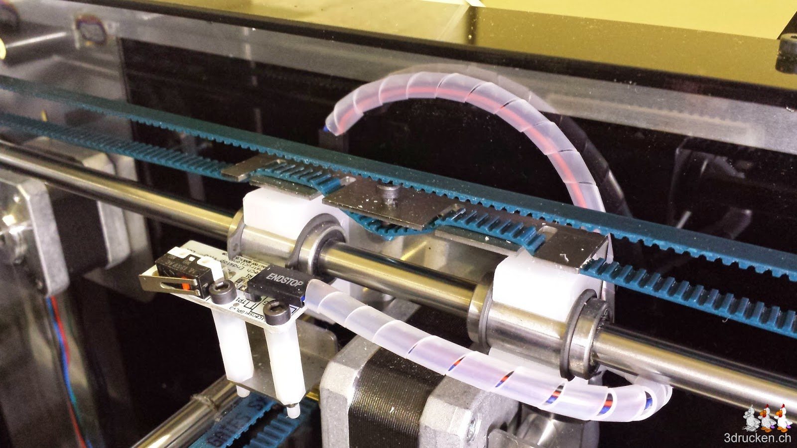 Foto des rechten Riemens der Y-Achse am Sharebot Next Generation