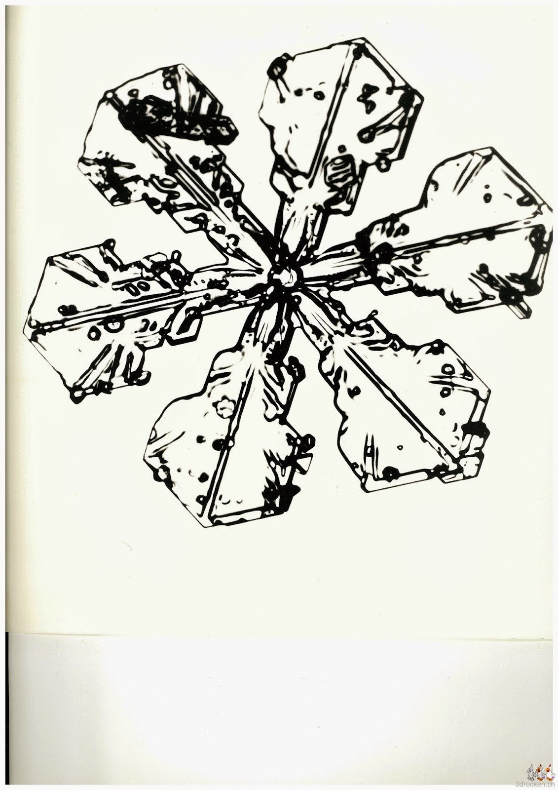 Eingescanntes Foto des Dendritischen Sterns mit Verbreiterungen der Astenden