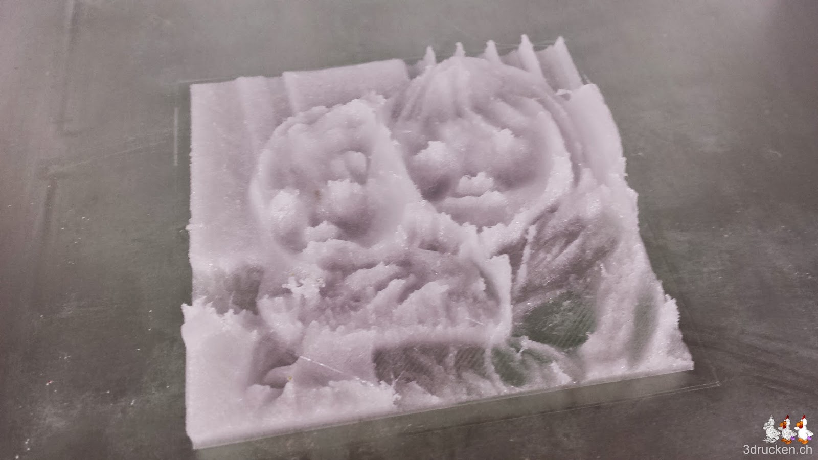 Foto des fertigen Drucks des 3D Fotos aus Colorfabb XT auf dem Ultimaker 2