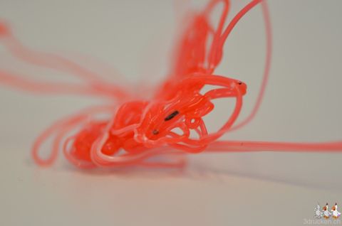 Vorschau neuerer Beitrag