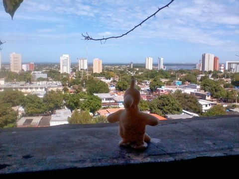 Vorschau neuerer Beitrag