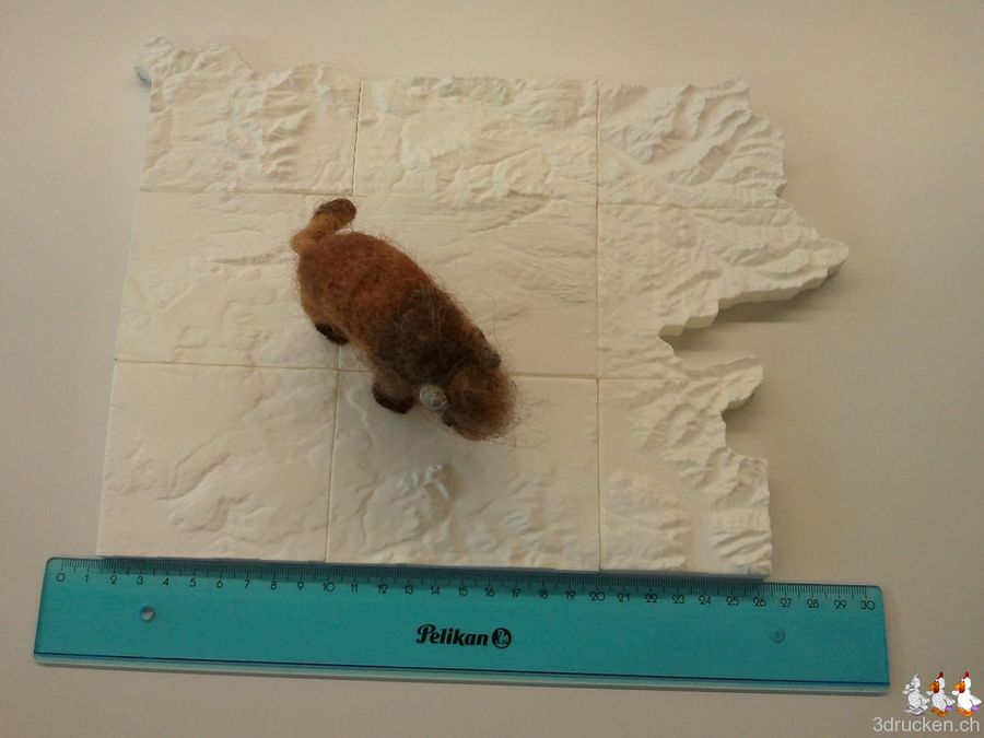 Yellowstone Relief komplett gedruckt