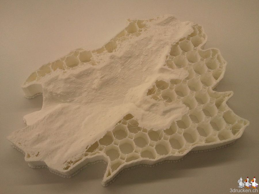 Relief von Grindelwald - 2 Druckversuche - #fail