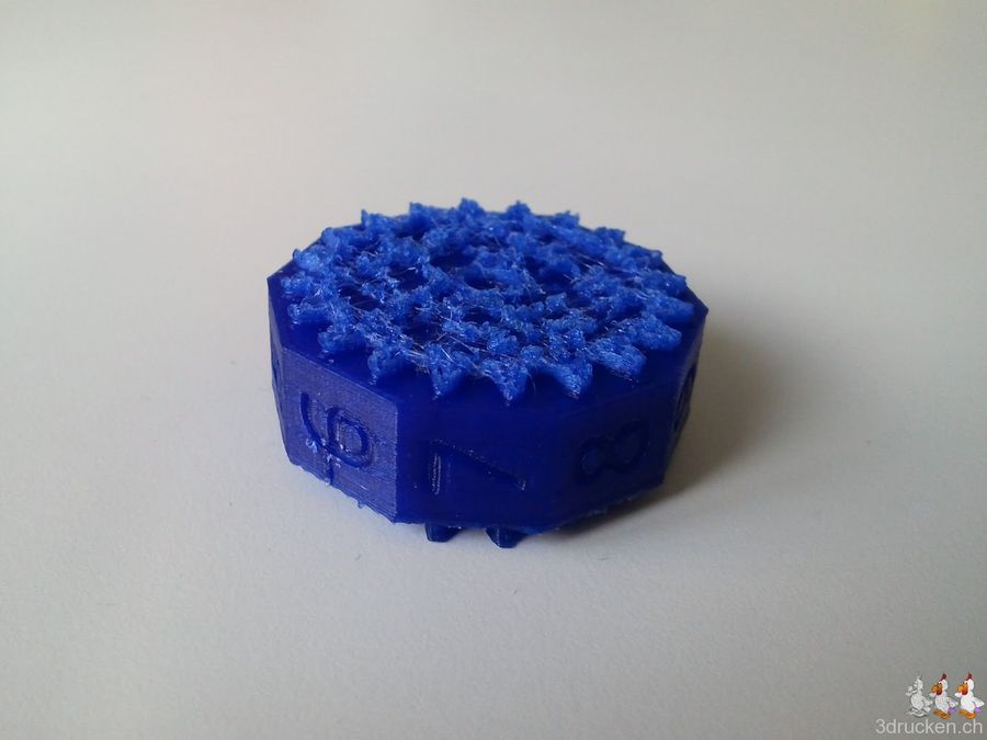 Ultimaker vs. Güggel: 1:0