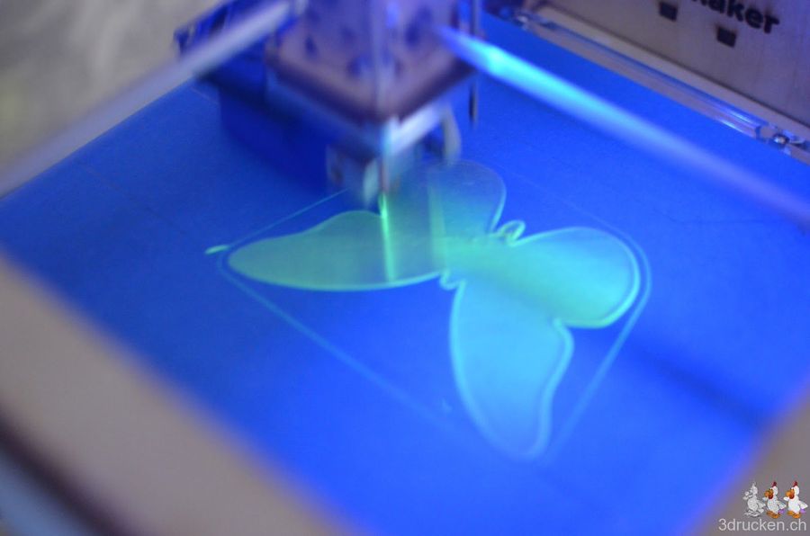 Vom Schmetterling zum Nachtfalter