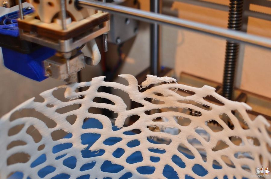 Coral Wall - Lamp Shade - Math Art by @Dizingof