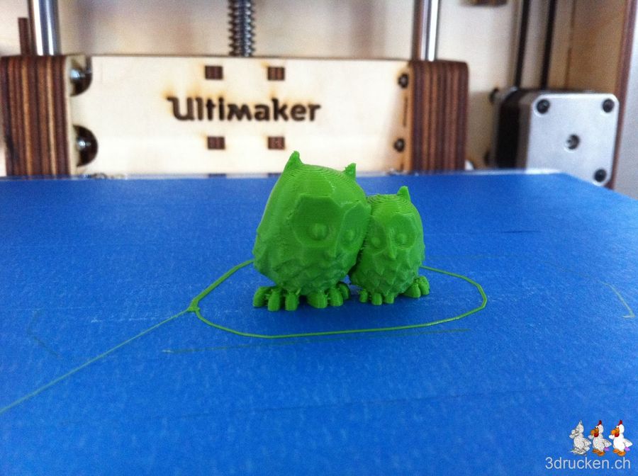 Zwei Eulen über SD-Karte