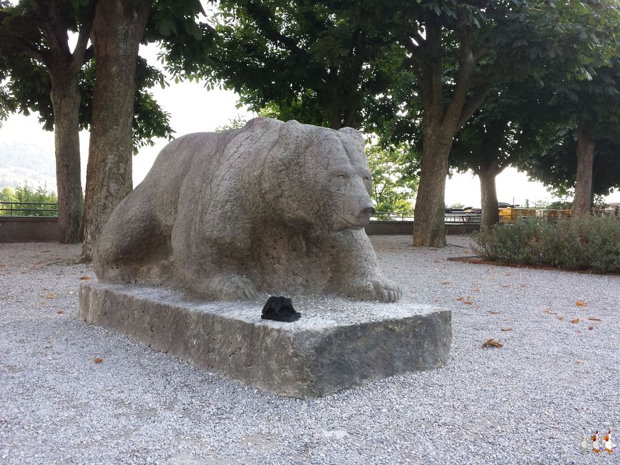 Der Bär vom Casinoplatz