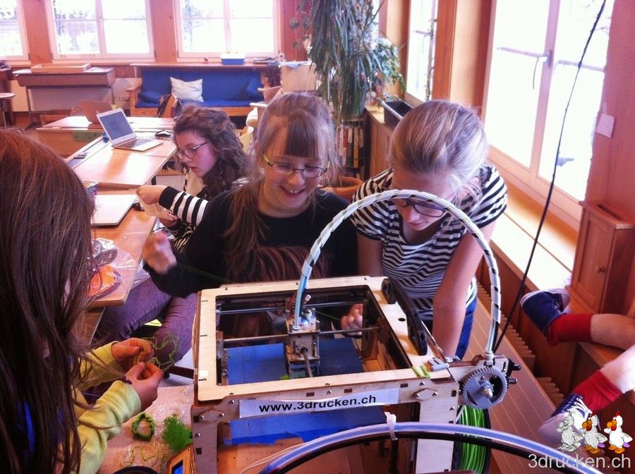 Erfahrungsbericht 3D-Drucken in der Primarschule