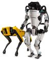 BOSTON DYNAMICS