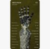 Official 1X image of an ungloved NEO robotic hand with exposed articulated fingers and tactile skin.