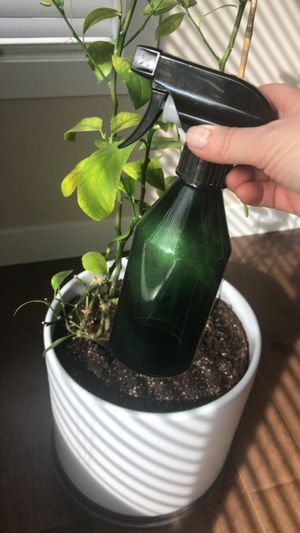 Friendship and legacy