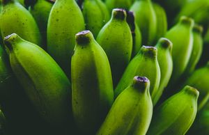 Green Banana Flour